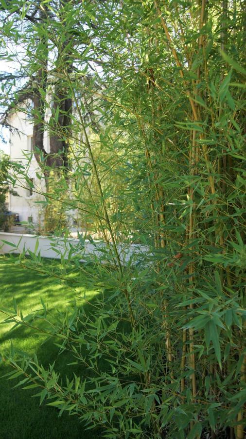 Hotel De Charme L'Oree Du Parc Romans-sur-Isere Bagian luar foto